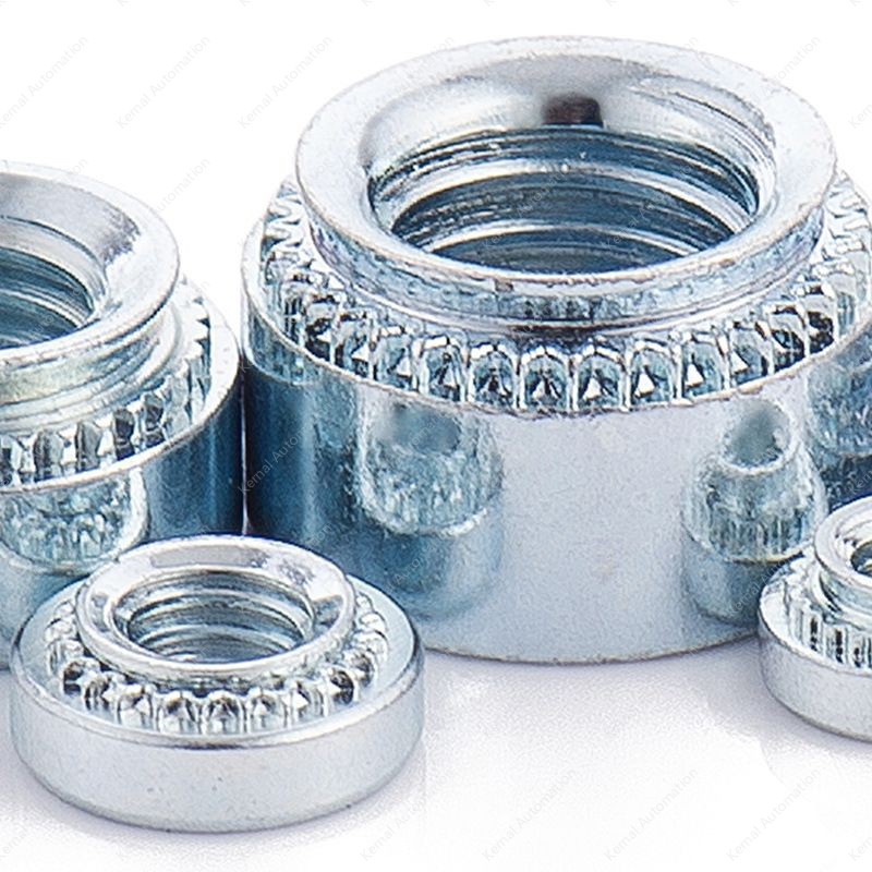 304 stainless steel rivet nut CLS-M10-0